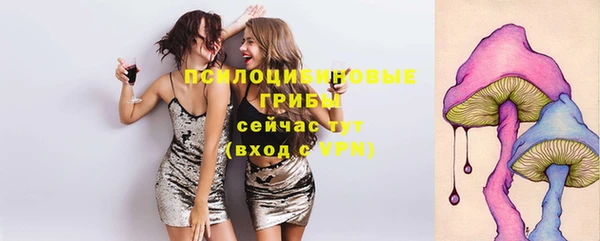 СК Новокубанск