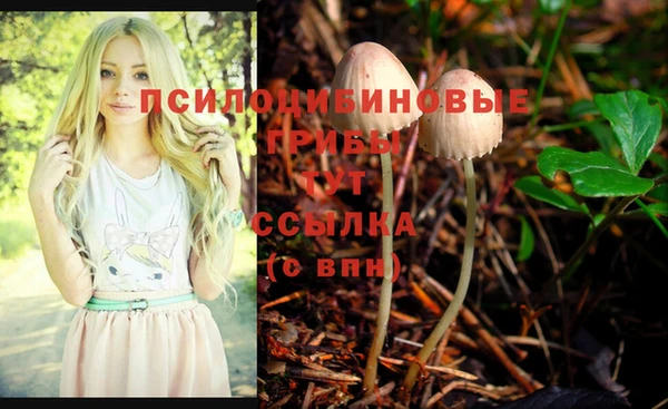 круглые Абаза