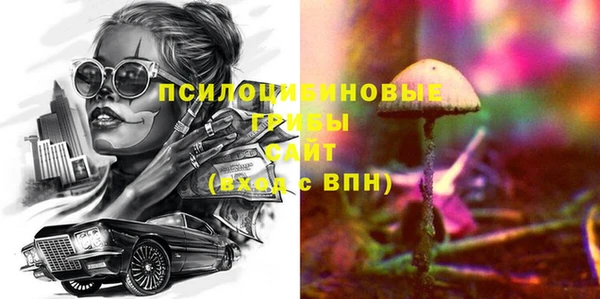 СК Новокубанск