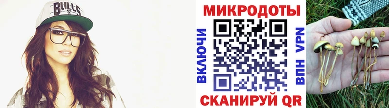 Галлюциногенные грибы Psilocybe  где найти   Балаково 