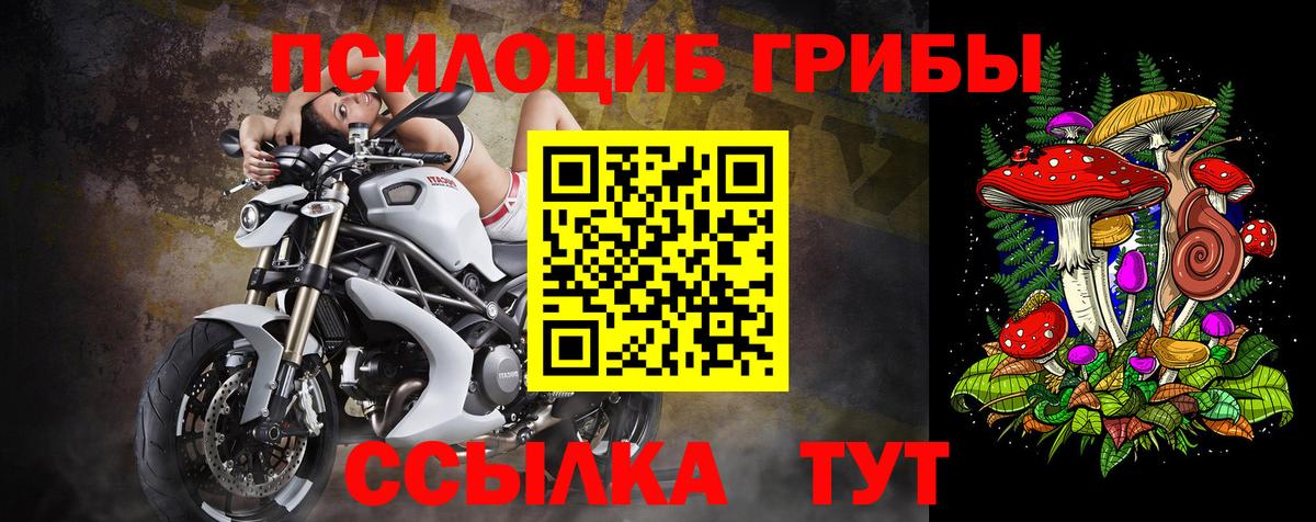 Псилоцибиновые грибы GOLDEN TEACHER  Вход с VPN  Балаково 